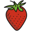 Primary Raster logo